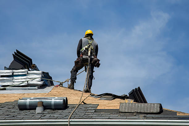 Professional Storm Damage Roof Repair technician working in Herrin, IL
